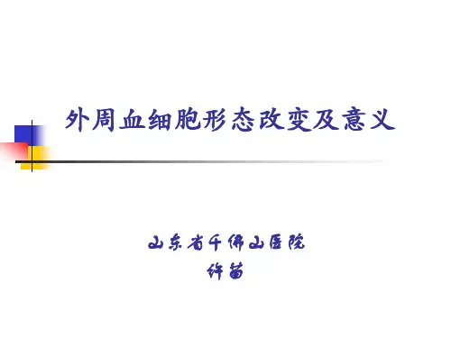 外周血细胞形态改变及意义