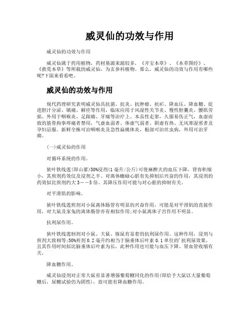 威灵仙的功效与作用