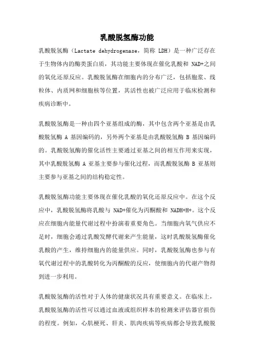 乳酸脱氢酶功能