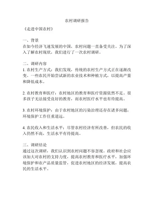 农村调研报告