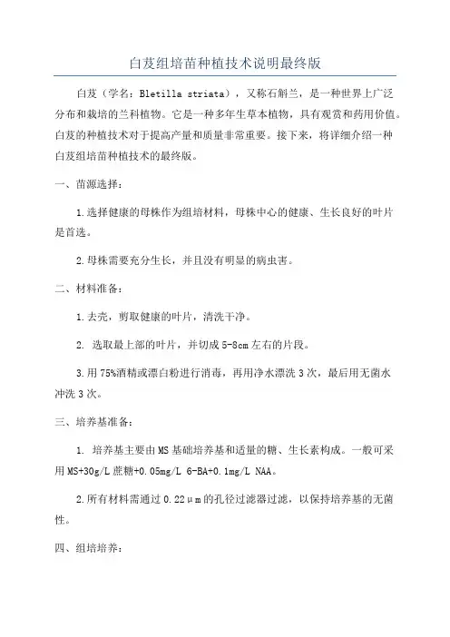 白芨组培苗种植技术说明最终版