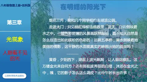 苏科版八年级上册物理第三章《光现象》第二节人眼看不见的光同步教学精品PPT课件