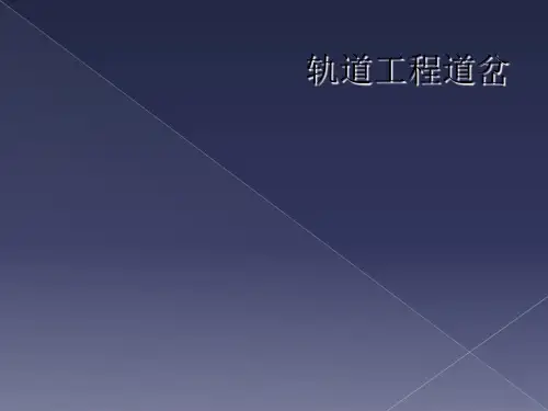 轨道工程道岔