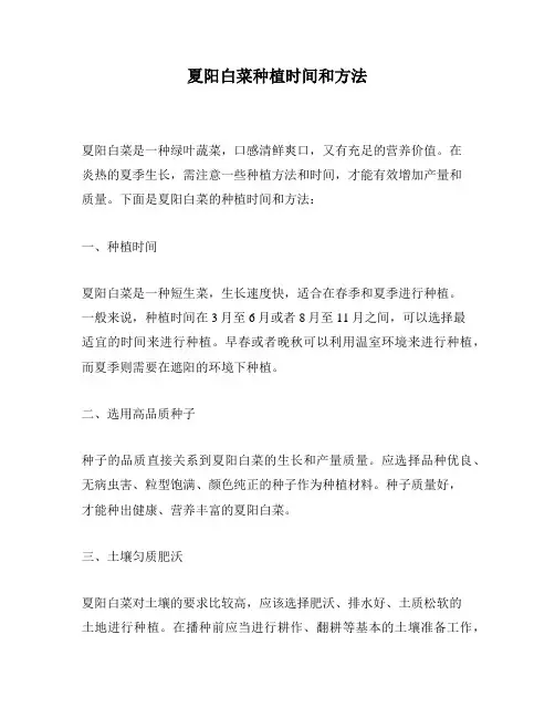 夏阳白菜种植时间和方法