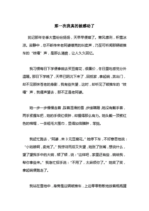 荆门市中考满分作文那一次我真的被感动了