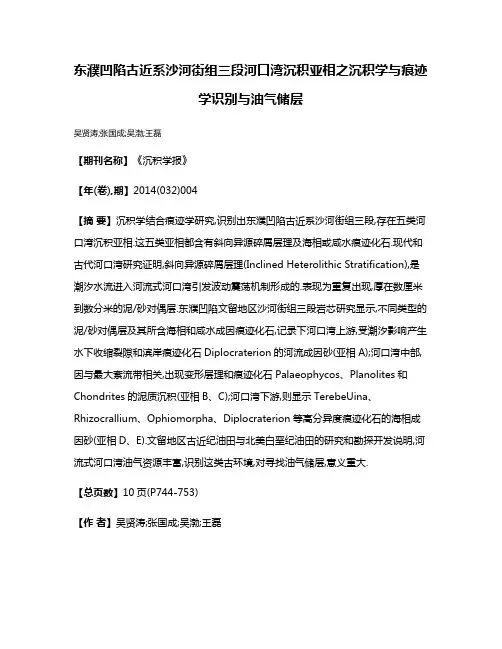 东濮凹陷古近系沙河街组三段河口湾沉积亚相之沉积学与痕迹学识别与油气储层
