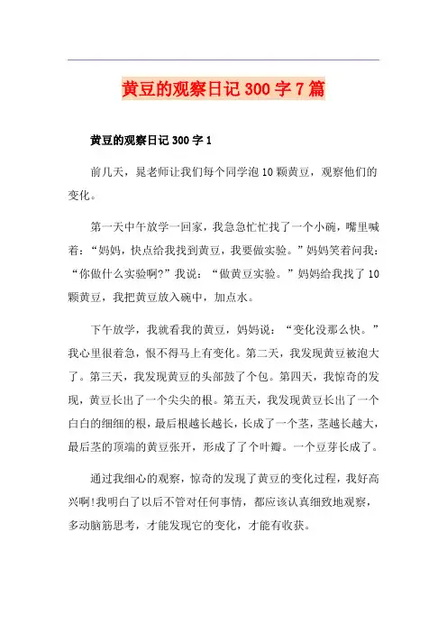 黄豆的观察日记300字7篇