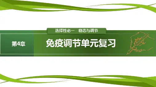 第4章免疫调节(复习课件)-2024-2025学年高二生物同步精品课堂(人教版2019选择性必修1)