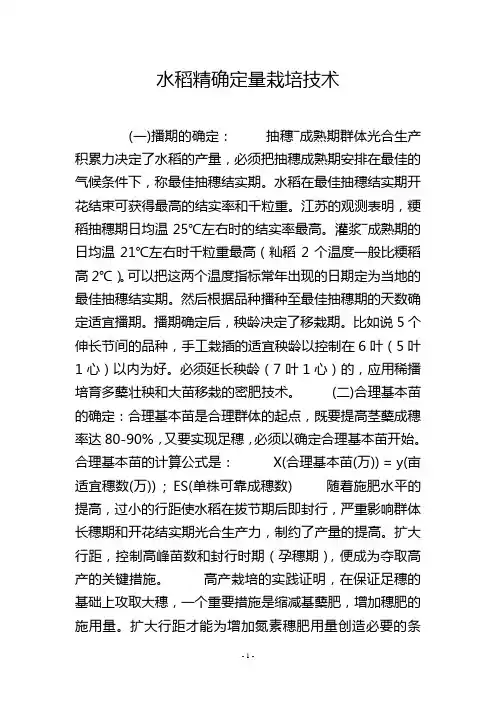 水稻精确定量栽培技术