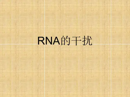 RNA干扰完整解析