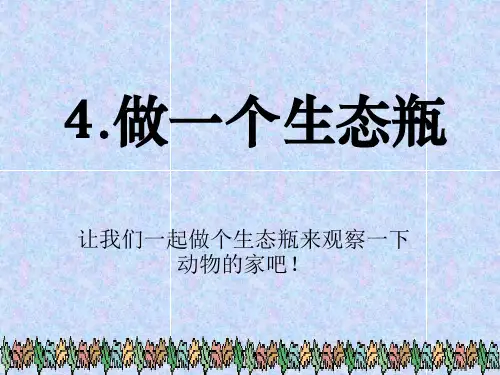 教科版五年级科学上册 (做一个生态瓶)生物与环境新教学课件