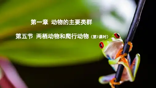 生物人教八年级上册 第五单元《生物圈中的其他生物》第一章 第五节 两栖动物和爬行动物(第1课时)