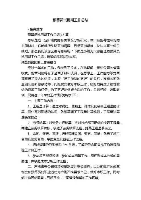 预算员试用期工作总结