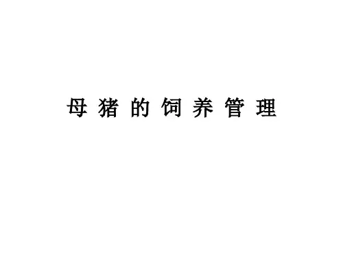 母猪饲养管理教材课程