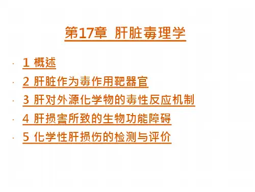 《毒理学基础》肝脏毒理学PPT课件