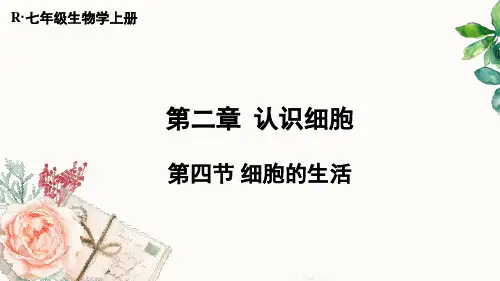 人教版(2024)细胞的生活(共41张PPT)