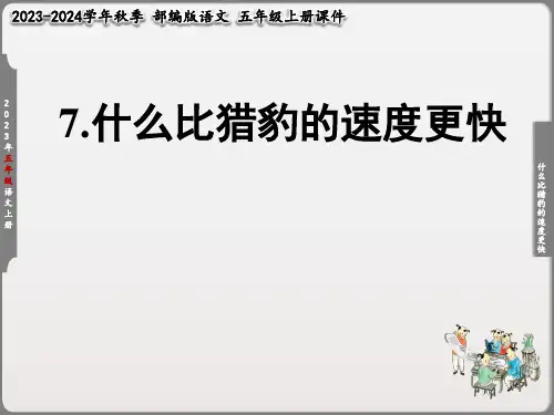 什么比猎豹的速度更快课件五年级(共32张PPT)