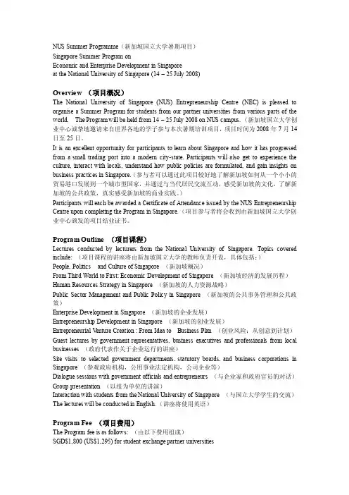 NUSSUMMERPROGRAMME（新加坡国立大学暑期项目）