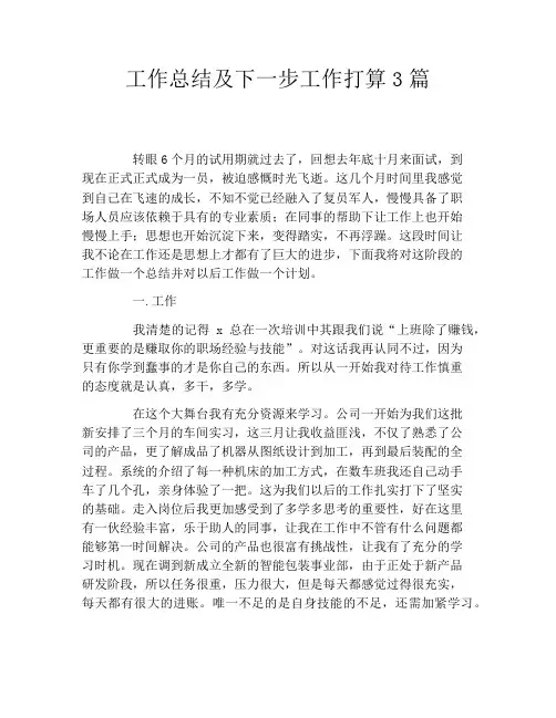 工作总结及下一步工作打算3篇