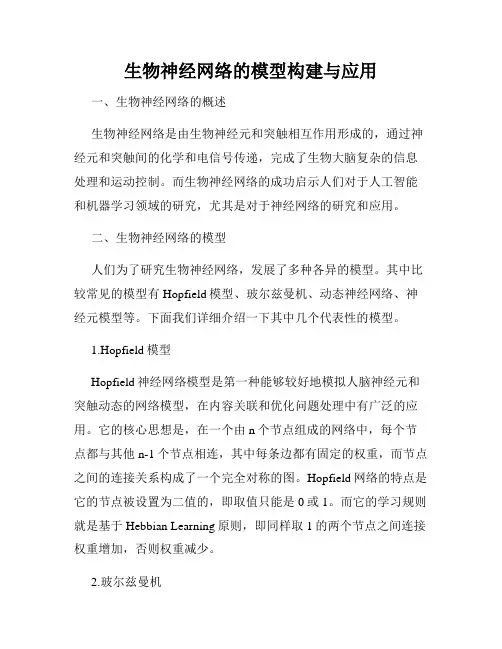 生物神经网络的模型构建与应用