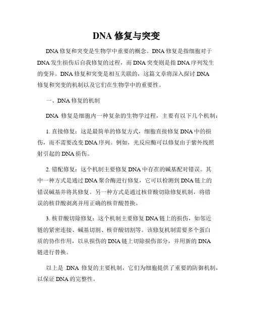 DNA修复与突变