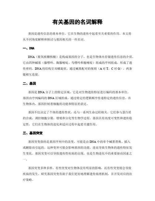 有关基因的名词解释