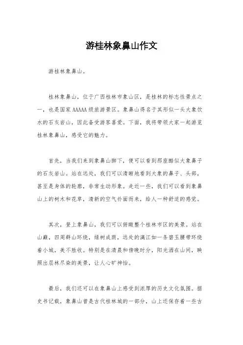 游桂林象鼻山作文