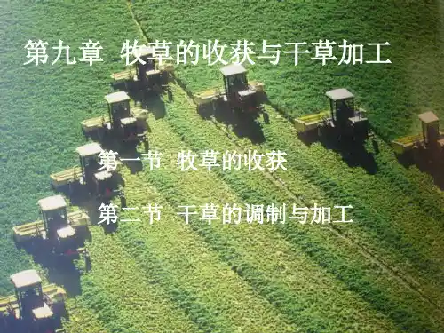 四、牧草收获及干草加工调制