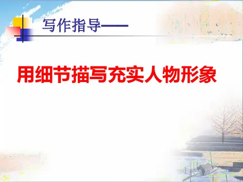 人物细节描写ppt优秀课件PPT