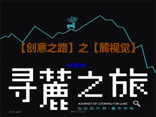 麓湖营销推广PPT