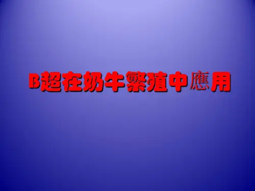 B超在奶牛繁殖中应用  PPT课件