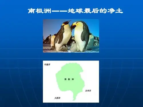 南极洲区域空间定位方法概要