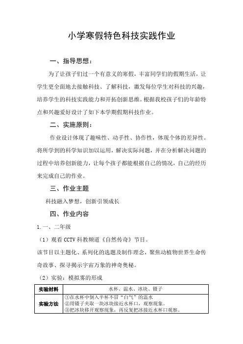 小学寒假特色科技实践作业