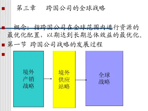 战略管理-第三章跨国公司的全球战略跨国公司经营与管理教学课件
