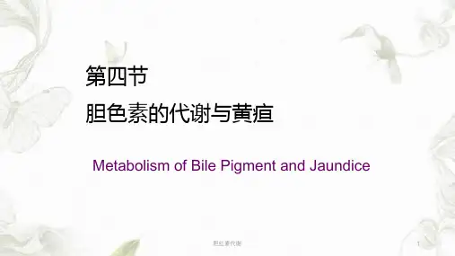 胆红素代谢ppt课件