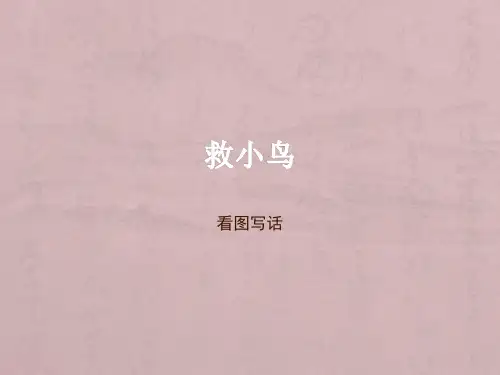 PPT——看图写话(救小鸟)