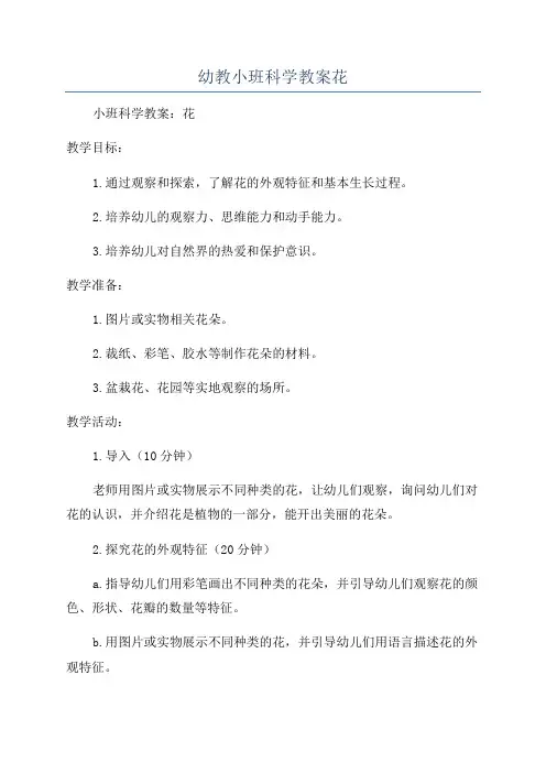 幼教小班科学教案花