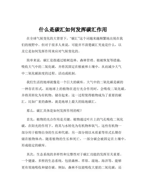 什么是碳汇如何发挥碳汇作用