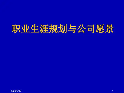 职业生涯规划与公司愿景ppt演示模板
