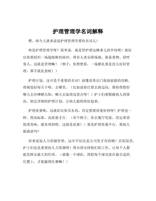 护理管理学名词解释