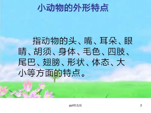 小动物的外形描写ppt精选课件