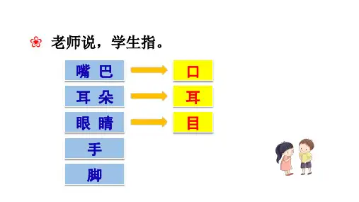 部编版一年级语文上册3《口耳目》课件(共26张PPT)