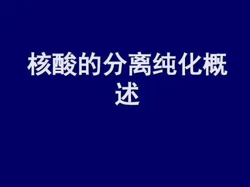 核酸的分离与纯化