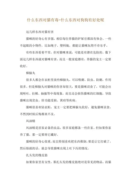 什么东西对猫有毒-什么东西对狗狗有好处呢