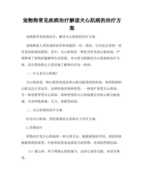 宠物狗常见疾病治疗解读犬心肌病的治疗方案