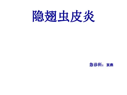 隐翅虫皮炎