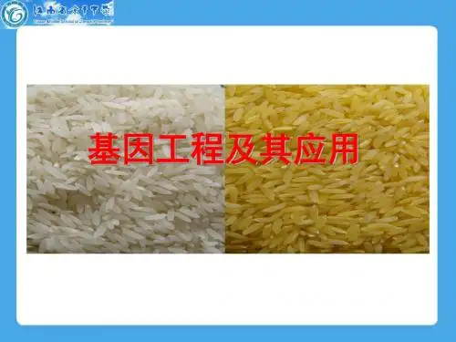基因工程及其应用课件