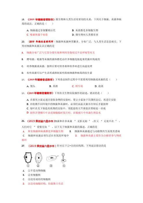 初中生物七年级上册-生物圈中的微生物2019