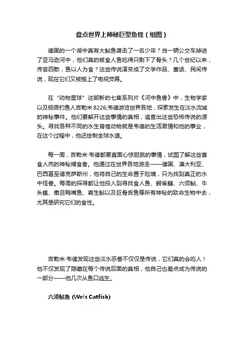 盘点世界上神秘巨型鱼怪（组图）