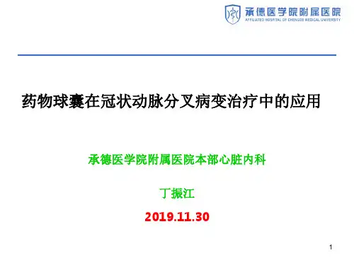 药物球囊在冠状动脉分叉病变治疗中的应用